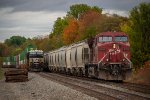 CP 9702 and NS 4508